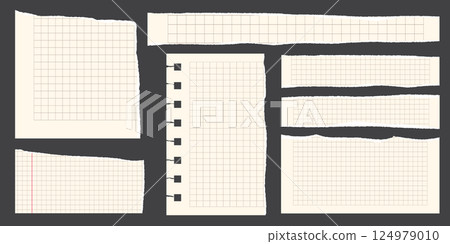Paper scraps. Torn pieces of paper, with torn edges for notes, realistic torn pieces of blank note pages. Vector illustration isolated Paper scraps. Torn pieces of paper, with torn edges for notes, realistic torn pieces of blank note pages. Vector illustration isolated 124979010