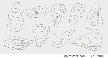 Line art oysters background. Seafood illustration 124979080