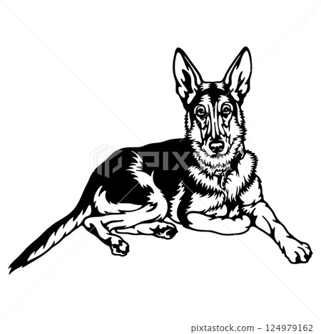 Eastern European Dog Breed - Pet Vector Cut file, Dog Silhouette Stencil - Cricut file Eastern European Dog Breed - Pet Vector Cut file, Dog Silhouette Stencil - Cricut file 124979162