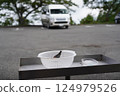 橫峰寺停車場裡的一隻鳥 124979526