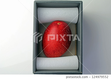mango mango 124979552
