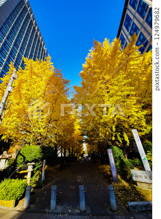 秋天色彩繽紛的銀杏樹和建築 124979682