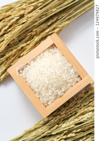 White rice White rice 124979827