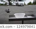 一隻小鳥吃完食物後返回巢穴 124979841