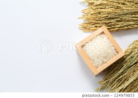 White rice White rice 124979855