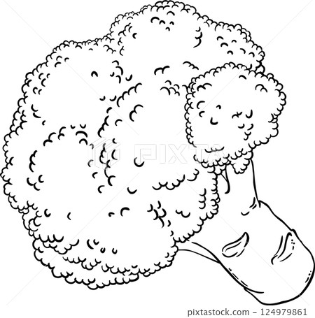 Broccoli Vegetable Outline llustration. 124979861
