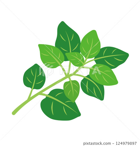牽牛花圖標 124979897