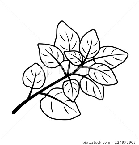 牽牛花圖標 124979905