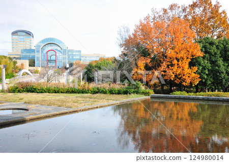 Autumn leaves at Aichi Health Forest Park Autumn leaves at Aichi Health Forest Park 124980014