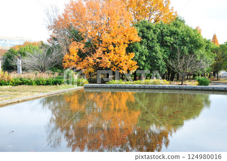 Autumn leaves at Aichi Health Forest Park 124980016