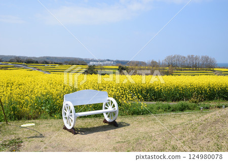 強姦花開花的小山 124980078