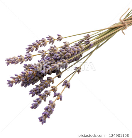 Bunch of Lavender 124981108