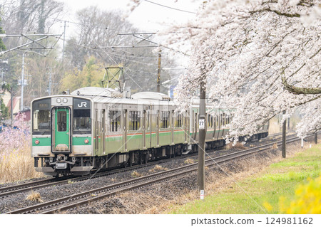 宮城縣大河原町白石川岸 人見千本櫻和東北線列車 宮城縣大河原町白石川岸 人見千本櫻和東北線列車 124981162