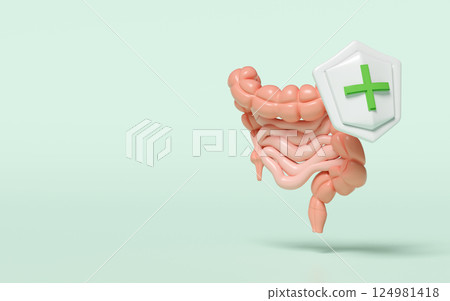 3d healthy intestine with shield isolated on green background. check intestine health concept, 3d illustration render 124981418