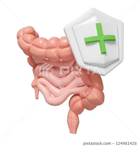 3d healthy intestine with shield isolated. check intestine health concept, 3d illustration render 3d healthy intestine with shield isolated. check intestine health concept, 3d illustration render 124981428