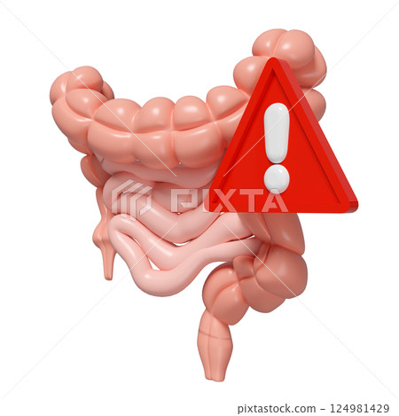 3d Intestines with exclamation mark isolated. danger warning concept, 3d illustration render 124981429