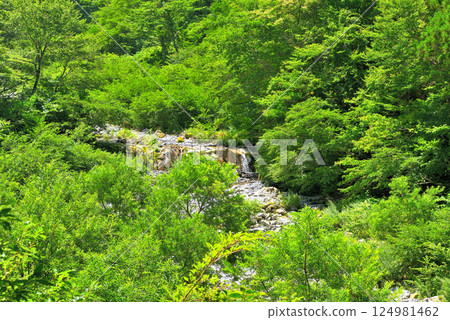 中國地區、大山隱岐國立公園、大神山神社奧宮、鳥取縣大山町從岔路口眺望的西之河原 124981462
