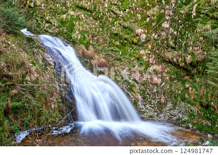 Majestic Allerheiligen Waterfalls: Powerful Cascades Over Mossy Rocks in Black Forest National Park's Pristine Wilderness 124981747