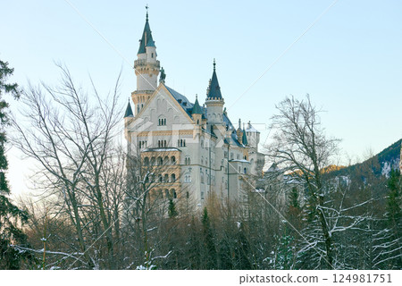 Majestic Neuschwanstein Castle in the Bavarian Alps with a Snowy Mountain Landscape at Dawn Majestic Neuschwanstein Castle in the Bavarian Alps with a Snowy Mountain Landscape at Dawn 124981751