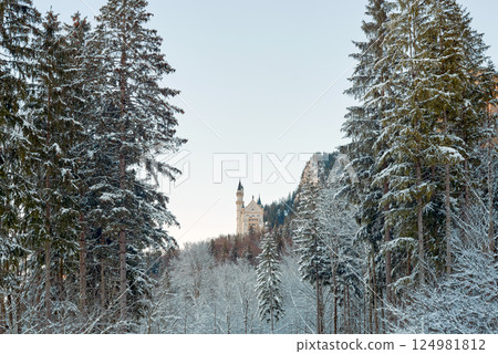 Neuschwanstein Castle in Winter, Snow-Covered Fairytale Landscape with Dense Evergreen Forest, Rocky Hillside, Blue-Tiled Roof, and Tall Pointed Tower, Serene Morning Light, Tranquil and Picturesque 124981812