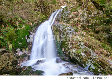 Misty Allerheiligen Waterfalls in Black Forest National Park, Germany. Scenic forest waterfall Allerheiligen Waterfalls in National Park SCHWARZWALD, Germany. Long exposure shot of a cascading Misty Allerheiligen Waterfalls in Black Forest National Park, Germany. Scenic forest waterfall Allerheiligen Waterfalls in National Park SCHWARZWALD, Germany. Long exposure shot of a cascading 124981838