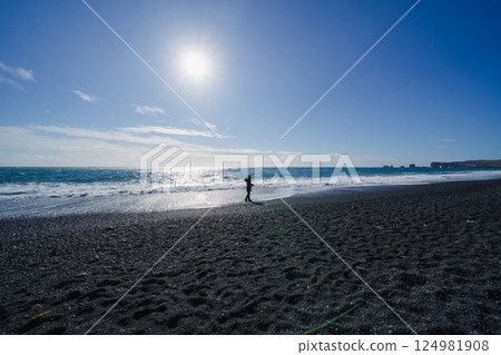 Black Sand Beach 124981908