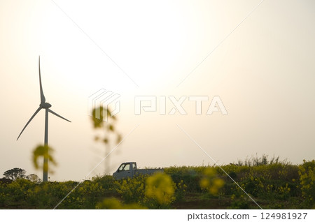 Rape blossoms and wind power propellers Rape blossoms and wind power propellers 124981927