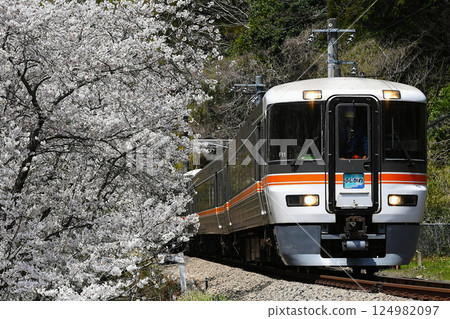 373 Series Express "Fujikawa" (Minobu Line in spring) 373 Series Express "Fujikawa" (Minobu Line in spring) 124982097