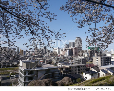 Seiseki Sakuragaoka as seen from Irohazaka Sakura Park Seiseki Sakuragaoka as seen from Irohazaka Sakura Park 124982359