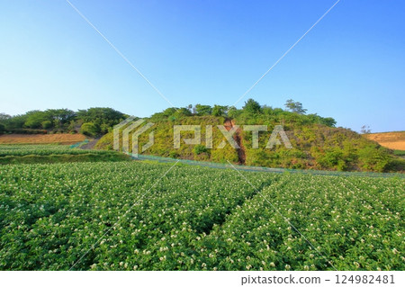 馬鈴薯花盛開的里山風景 馬鈴薯花盛開的里山風景 124982481