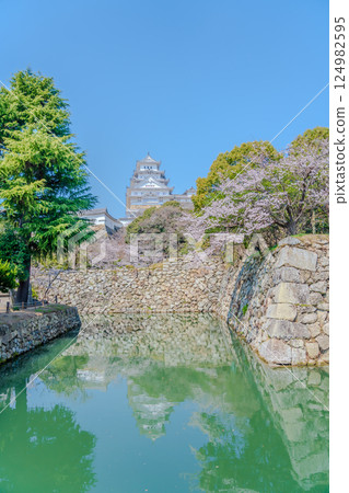 被新綠包圍的姬路城的春天景色 被新綠包圍的姬路城的春天景色 124982595