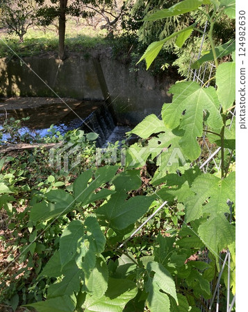 野外水路 124982630