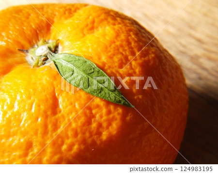 Tangerines with small leaves 124983195