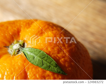 Tangerines with small leaves Tangerines with small leaves 124983272