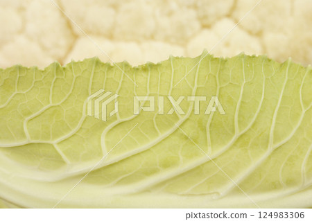 Cauliflower leaf 124983306