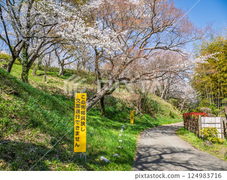 設置在難以通行的狹窄道路上的警告標誌[前方寬度較窄，無法交替通行] 124983716
