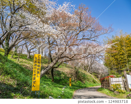 設置在難以通行的狹窄道路上的警告標誌[前方寬度較窄，無法交替通行] 124983718