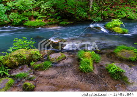 A clear stream flowing through a green forest A clear stream flowing through a green forest 124983944