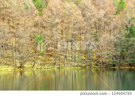 Mishaka Pond, the motif of Kaii Higashiyama's "Green Echoes" 124984785