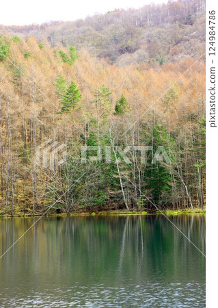 東山魁夷的《綠色迴響》的主題-彌散池 東山魁夷的《綠色迴響》的主題-彌散池 124984786