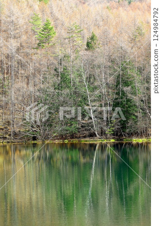 Mishaka Pond, the motif of Kaii Higashiyama's "Green Echoes" 124984792