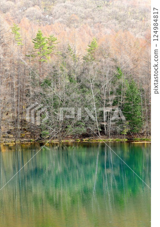 Mishaka Pond, the motif of Kaii Higashiyama's "Green Echoes" 124984817
