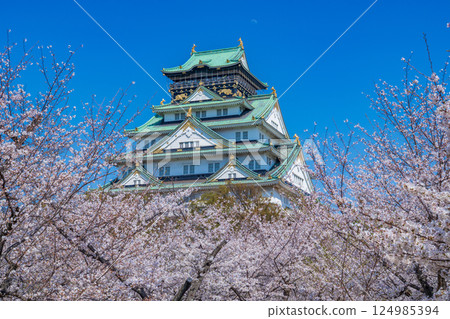 春回四月：櫻花盛開，大阪城聳立在藍天下 124985394