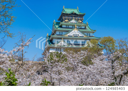 春回四月：櫻花盛開，大阪城聳立在藍天下 124985403