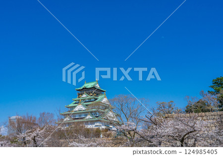 Spring in April: Cherry blossoms in full bloom and Osaka Castle tower against the blue sky 124985405