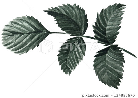 watercolor, leaf, foliage 124985670
