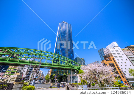 日本東京城市景觀：總武本線松津橋立體交叉橋上行駛的總武線、摩天大樓、櫻花等。 124986054