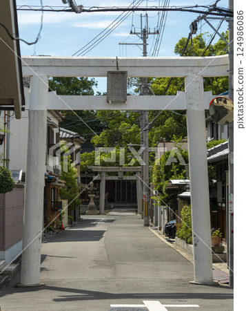 川邊八幡宮的鳥居和參拜道路 川邊八幡宮的鳥居和參拜道路 124986086