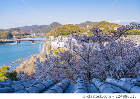 （愛知縣）國寶犬山城～從天守閣俯瞰犬山城下町（犬山橋側） 124986113