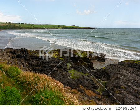 Inchydoney Beach presents a picturesque view of the coastline with rolling waves and rocky shores. The sun shines brightly, illuminating the lush green landscape in the background. 124986264